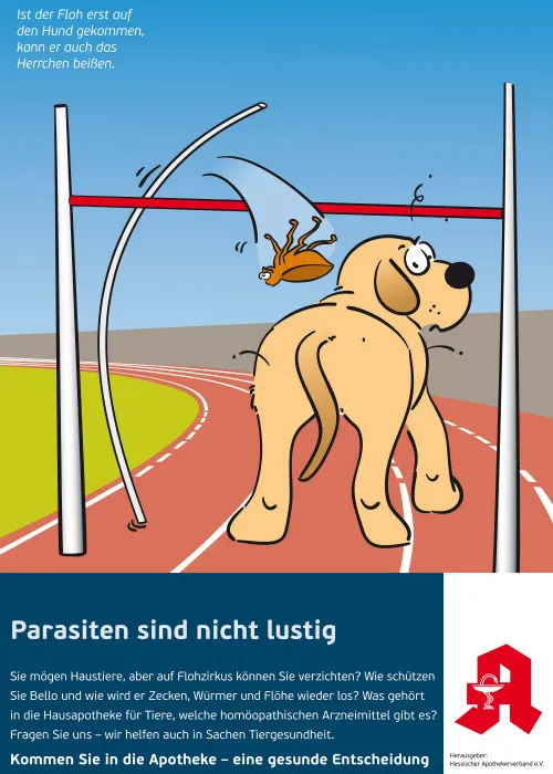 Floh-Bild